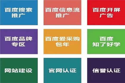 百度推广竞价全解析：某电商平台的营销策略